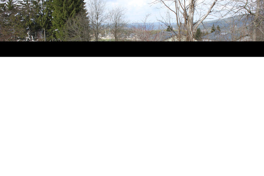 BMW E31 850i Endschalldämpfer rechts/links - 2x90 Typ 25 rechts/links