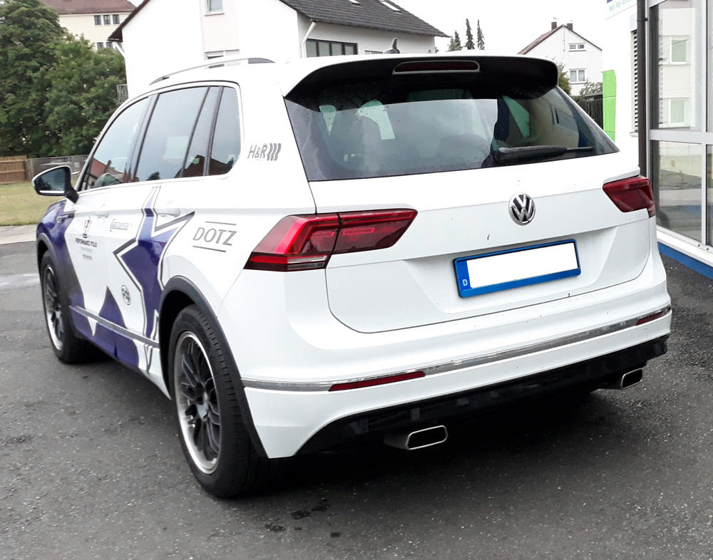 VW Tiguan II Benzin - 4motion Endschalldämpfer Ausgang rechts/links - 145x65 Typ 59 rechts/links
