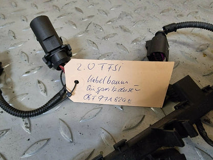 Audi S3 Kabel Kabelbaum Einspritzdüsen 2.0 TFSI 06F971824E VW A3