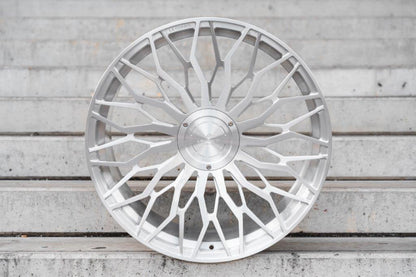 LC-F 33 All Colors