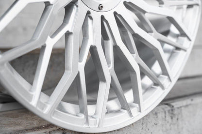 LC-F 33 All Colors