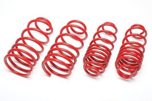 TA Technix Federn passend für Renault Megane III Coupe 1051-1110kg maximale Vorderachslast Typ Z 15/25mm