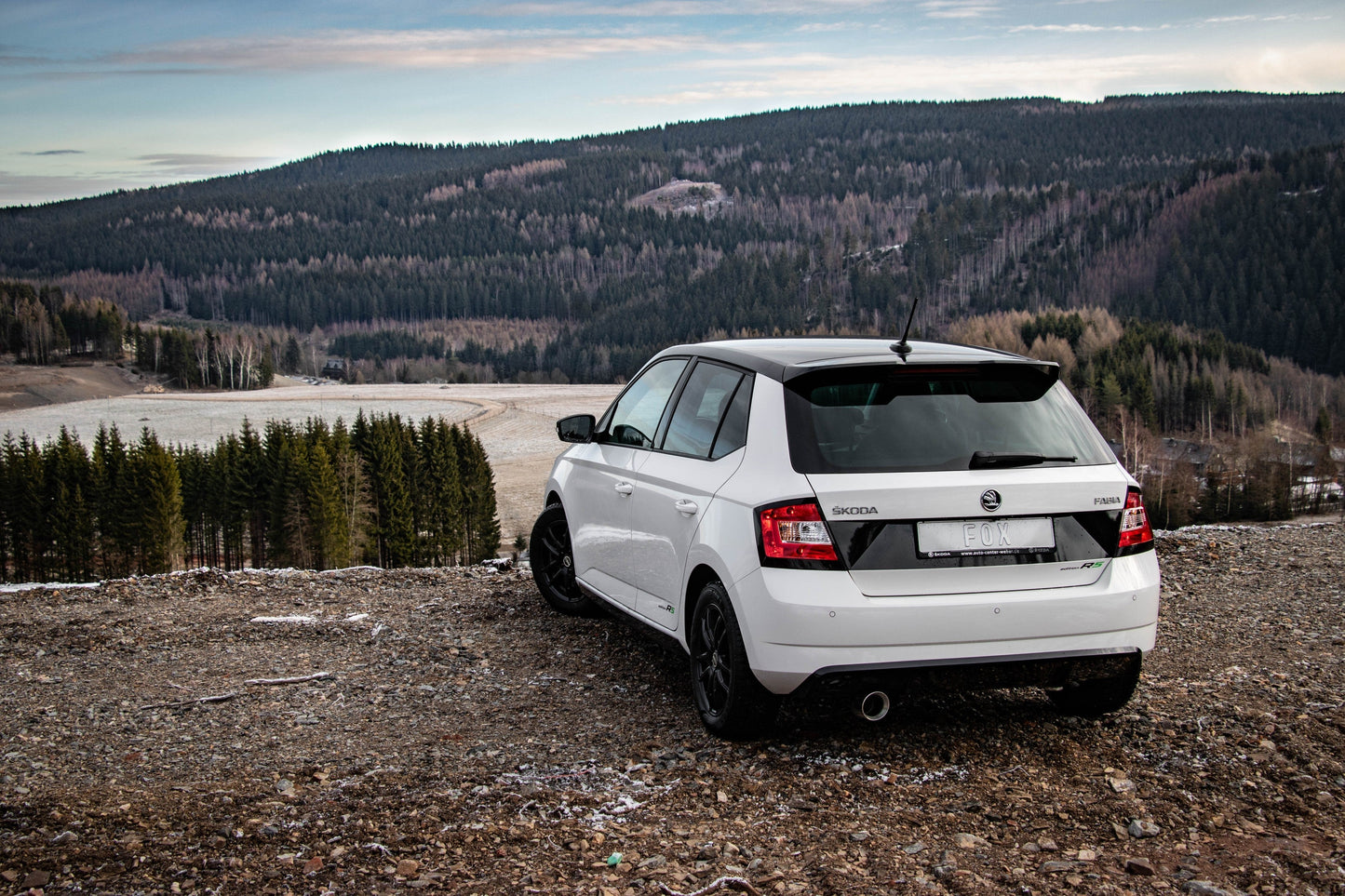FOX Skoda Fabia NJ R5 Edition Endschalldämpfer - 1x100 Typ 25