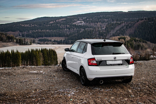FOX Skoda Fabia NJ R5 Edition Endschalldämpfer - 1x100 Typ 25